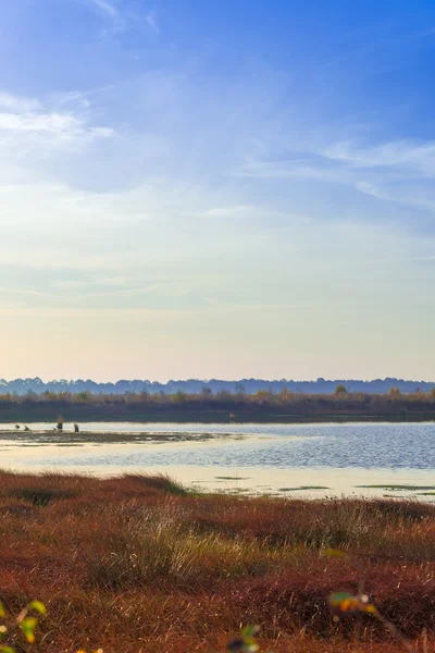 El páramo en el otoño —  Fotos de Stock