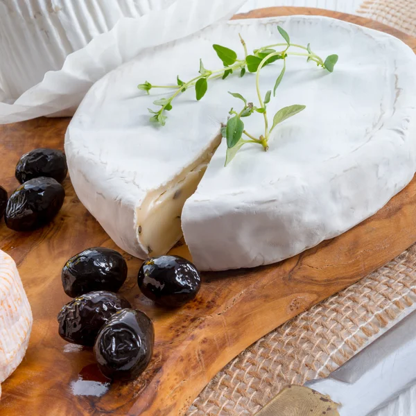 Käse aus nächster Nähe — Stockfoto