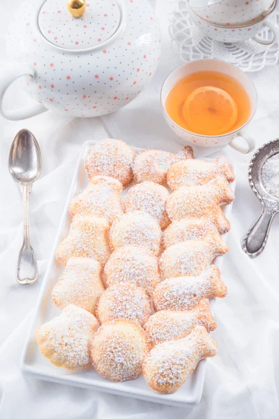 Fresh baked madeleines cookies — Stock Photo, Image