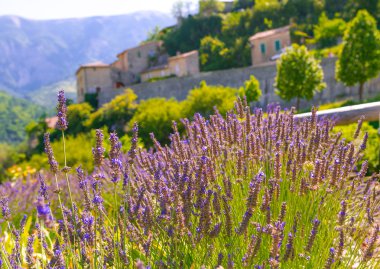 Village in provence clipart