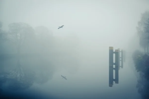 Ομίχλης στον ποταμό — Φωτογραφία Αρχείου