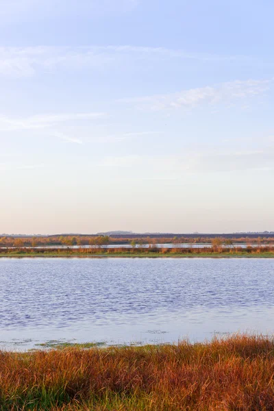 La brughiera in autunno — Foto Stock