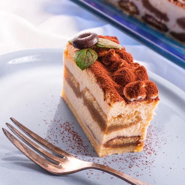 Tasty Tiramisu с мятой — стоковое фото