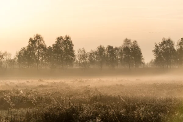 La brughiera vista autunno — Foto Stock