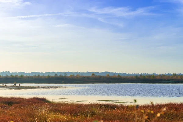 La vista de otoño páramo —  Fotos de Stock