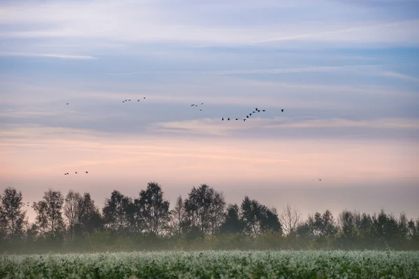 La brughiera vista autunno — Foto Stock