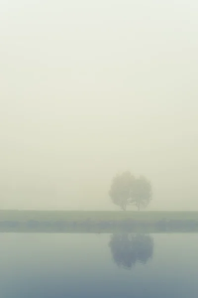 Толстый туман у реки — стоковое фото
