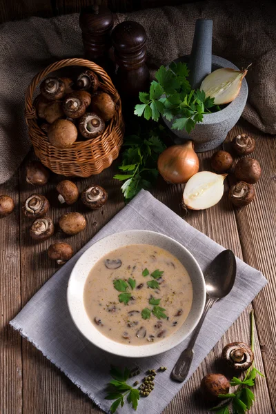 Kremowa Zupa grzybowa — Zdjęcie stockowe