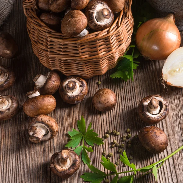 Geschubde hout Mushroom — Stockfoto