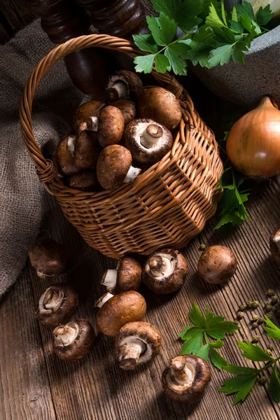 Scaly Wood Mushroom — Stock Photo, Image