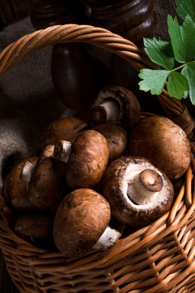 Geschubde hout Mushroom — Stockfoto