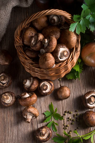 Scaly Wood Mushroom — Stock Photo, Image