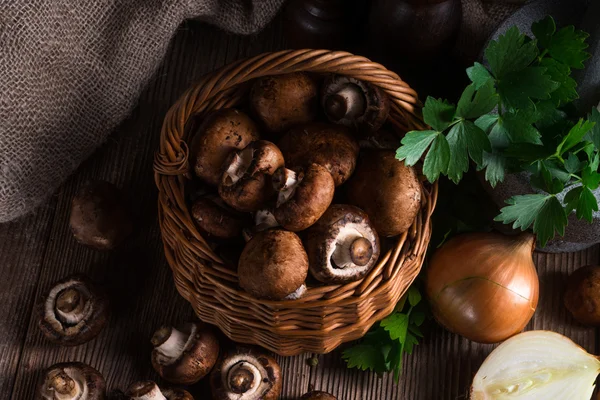 Scaly Wood Mushroom — Stock Photo, Image