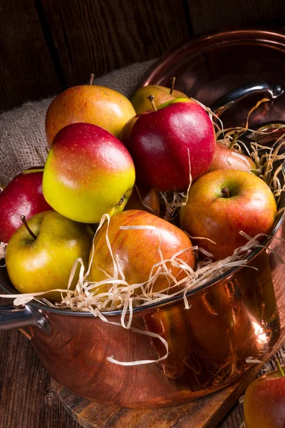 Fresh autumn apples — Stock Photo, Image