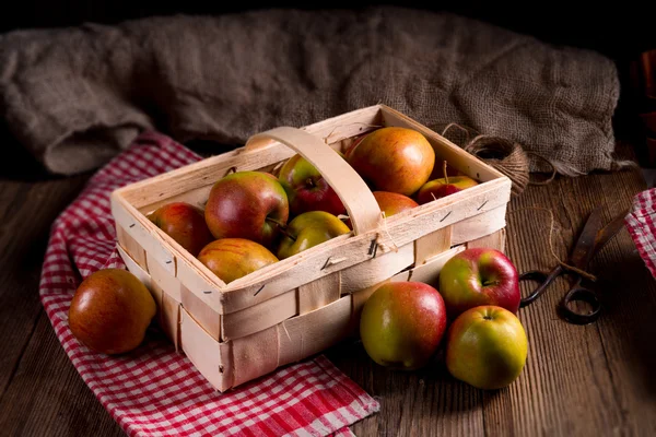 Φρέσκα μήλα φθινόπωρο — Φωτογραφία Αρχείου