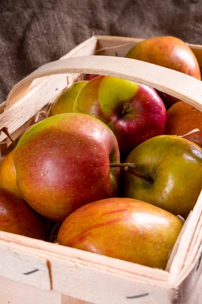 Manzanas de otoño en cesta —  Fotos de Stock