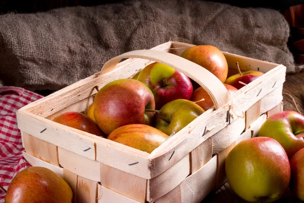 Φθινόπωρο μήλα στο καλάθι — Φωτογραφία Αρχείου