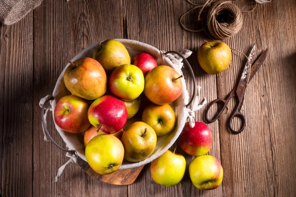 Fresh autumn apples in the basket — Stock Photo, Image