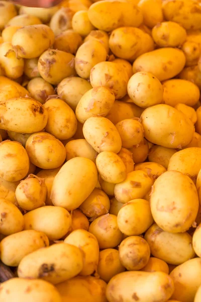 Φρέσκα νέα πατάτες — Φωτογραφία Αρχείου