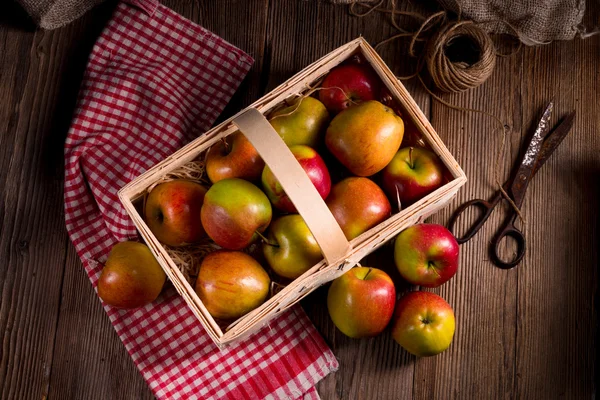 Φθινόπωρο μήλα στο καλάθι — Φωτογραφία Αρχείου