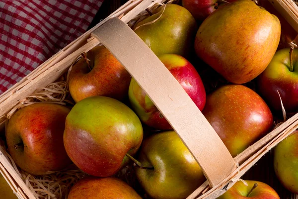 Pommes d'automne dans le panier — Photo