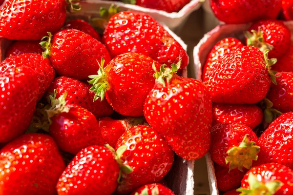 Närbild av jordgubbar — Stockfoto