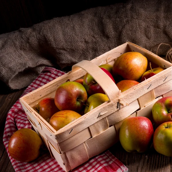 Φρέσκα μήλα φθινόπωρο — Φωτογραφία Αρχείου