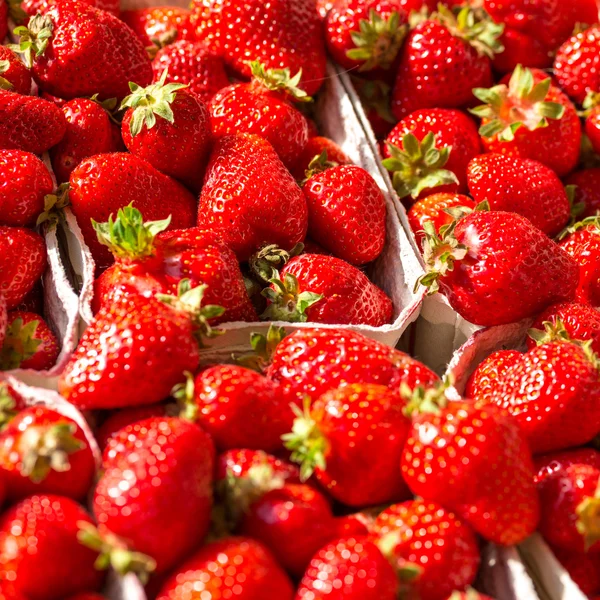 Close-up zicht op aardbeien — Stockfoto