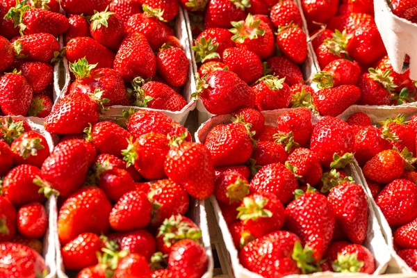 Close-up zicht op aardbeien — Stockfoto