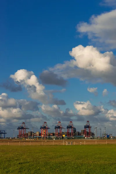 Container Terminal view — Stock Photo, Image