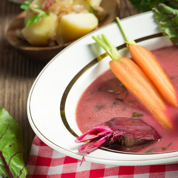 Botwinka - Sopa de folhas de beterraba jovens — Fotografia de Stock