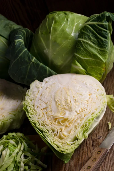 Fresh young cabbage — Stock Photo, Image