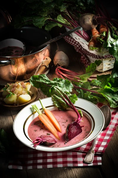 Botwinka - Soup of young beet leaves — Stock Photo, Image