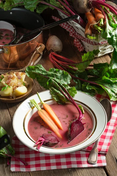 Botwinka - Sopa de folhas de beterraba jovens — Fotografia de Stock