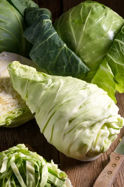 Fresh young cabbage — Stock Photo, Image