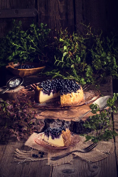 Gâteau au fromage fait maison aux myrtilles — Photo