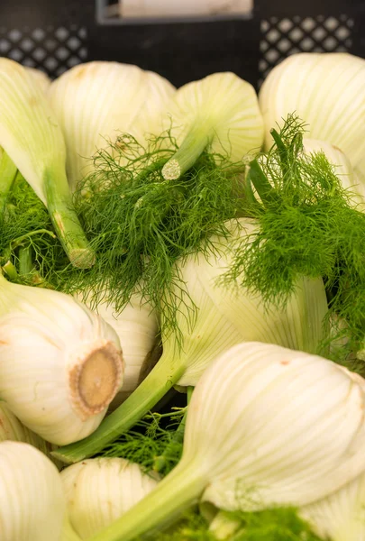 Fresh fennel and garlic — Stock Photo, Image