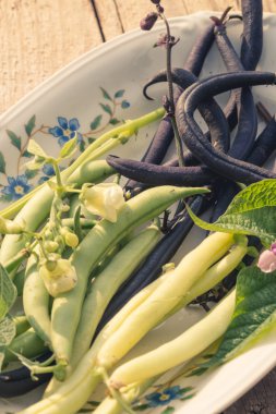 taze çalı fasulyesi