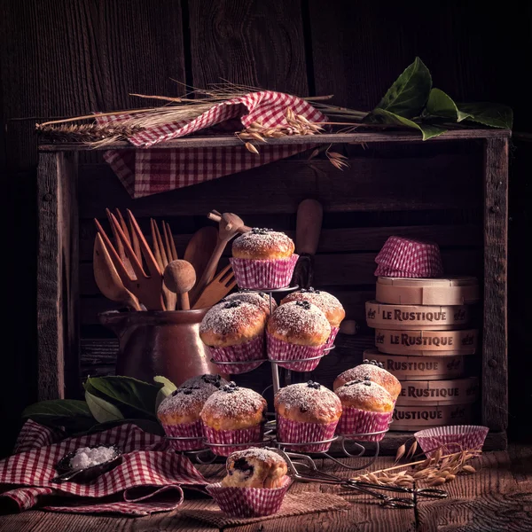 Muffins aux bleuets frais — Photo