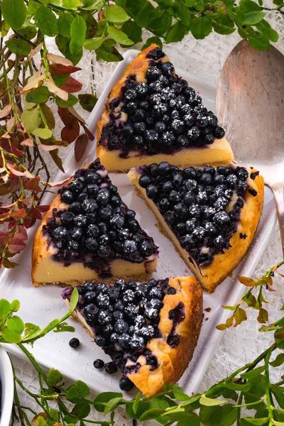 Hausgemachter Käsekuchen mit Blaubeeren — Stockfoto