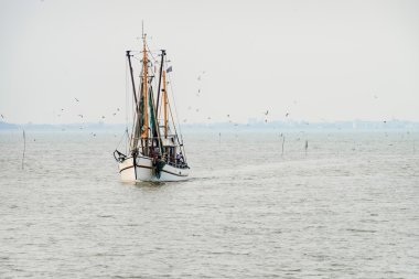 Sea shrimp boat