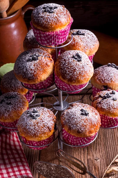 Muffins de mirtilos caseiros — Fotografia de Stock