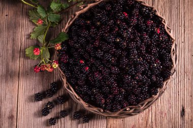 Collected blackberries in a busket