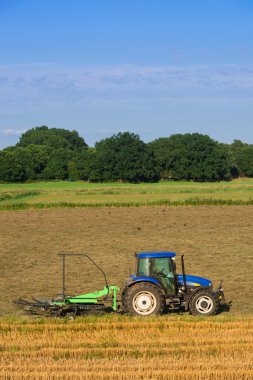 Hay rake on the field