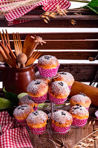Muffins de mirtilos caseiros — Fotografia de Stock