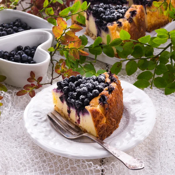 Freshmade cheesecake with blueberries — 图库照片