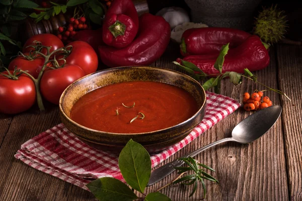 Paprika and Tomatoes Soup — 스톡 사진