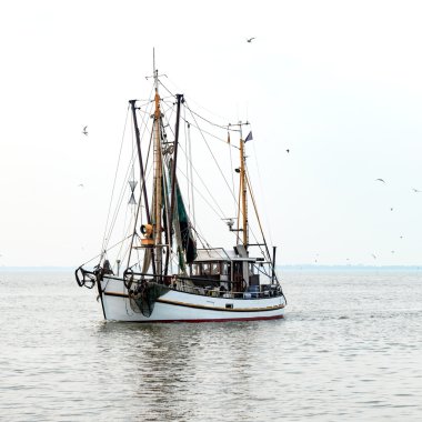 Sea shrimp boats