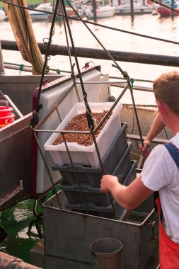 Sea shrimp boat