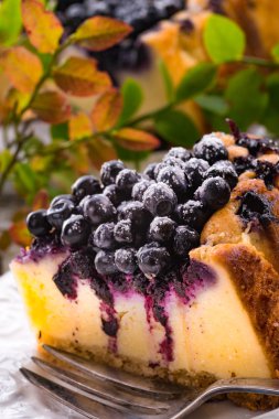 Freshmade cheesecake with blueberries